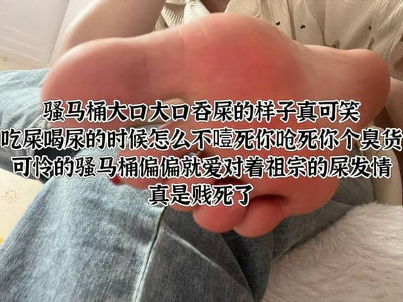 小鱼爹很 – 玩无脑贱马桶