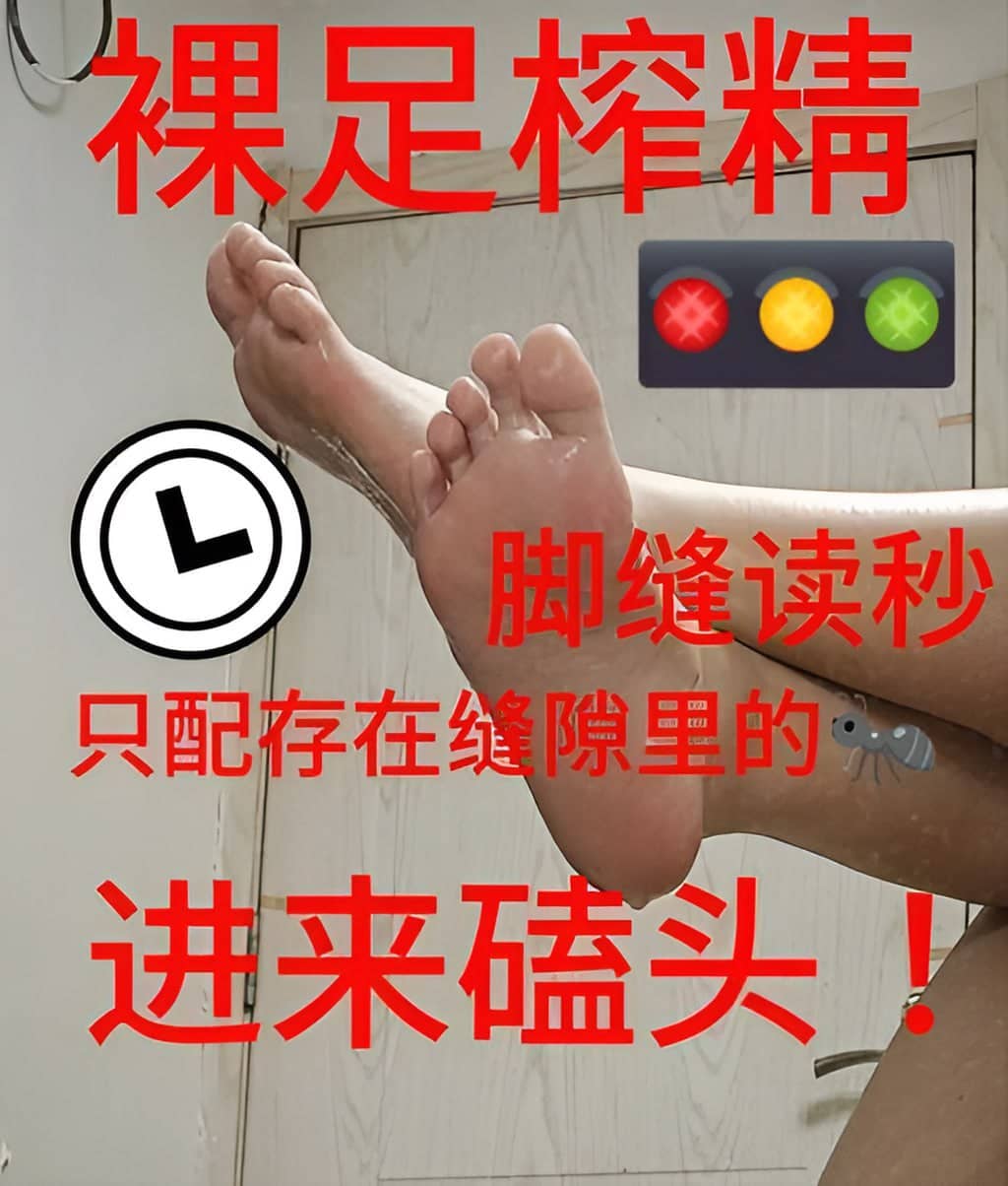 小猫 – 压榨红绿灯