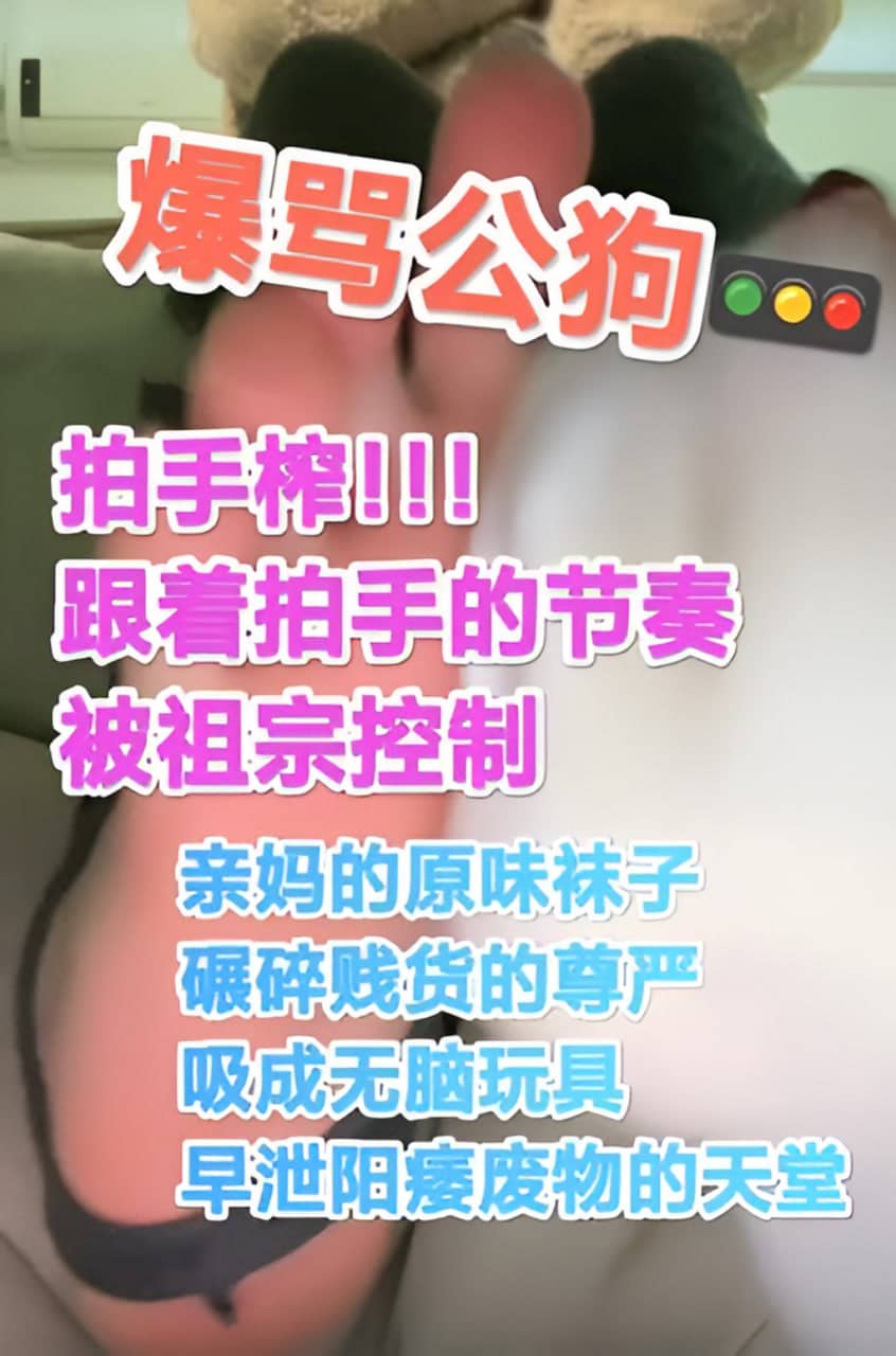 小猫 – 进来挨骂寸