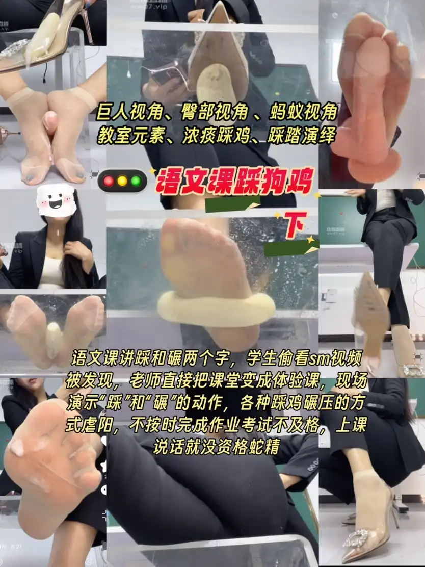 喵主 – 红绿灯语文课踩狗下集