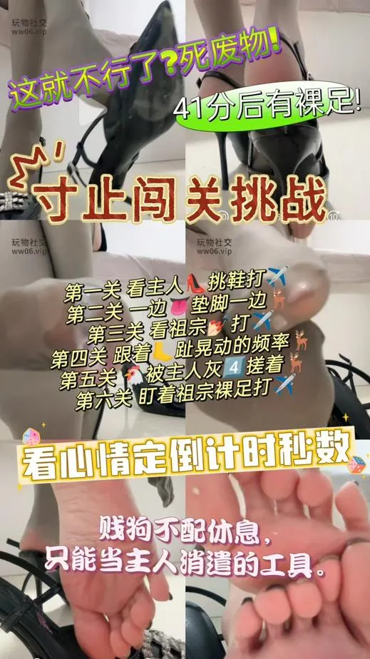 酒鸽 – 寸止闯关挑战