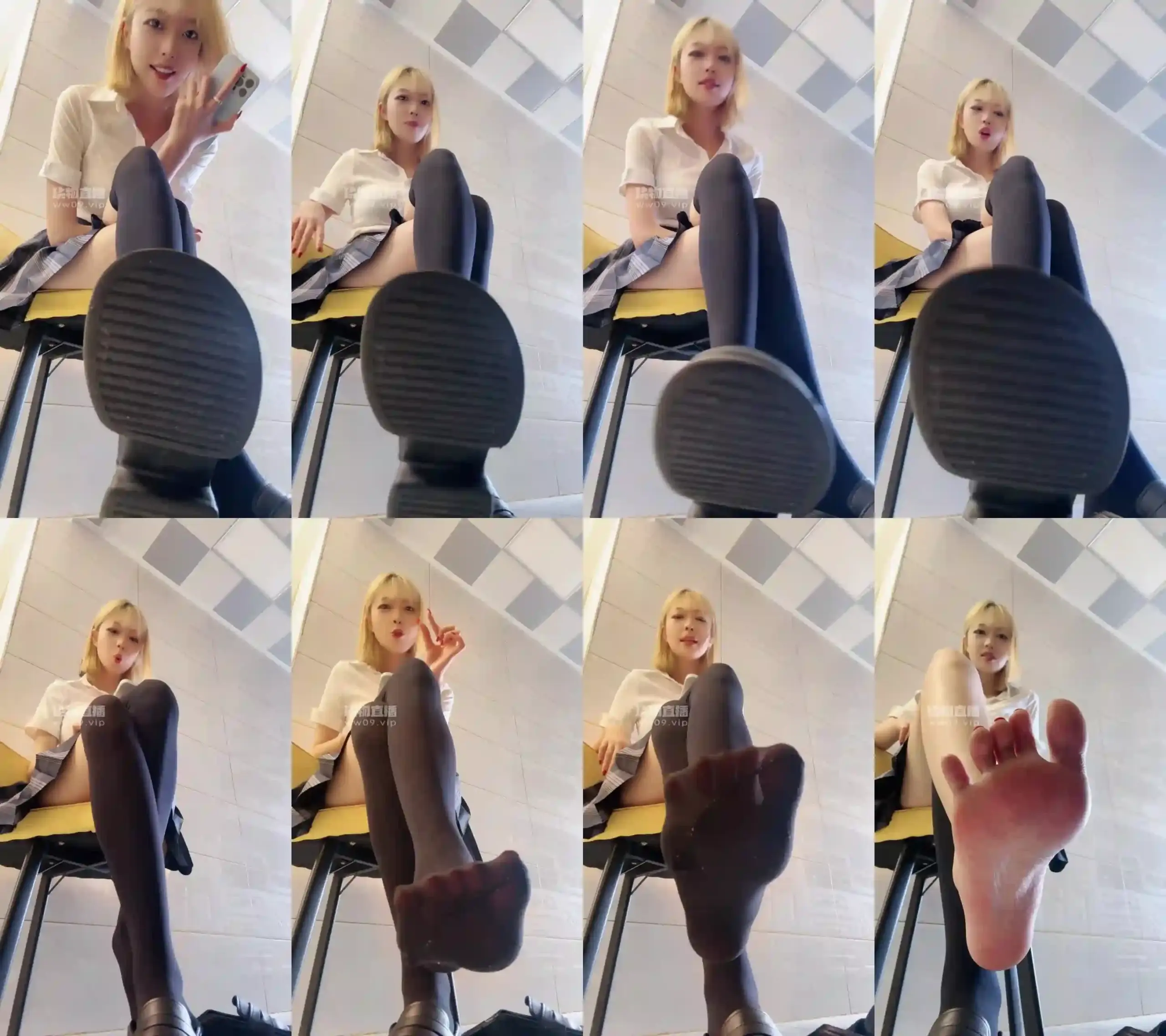 酒鸽 – 任务场