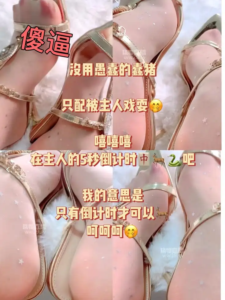 乔乔在这里 – 戏耍傻逼了