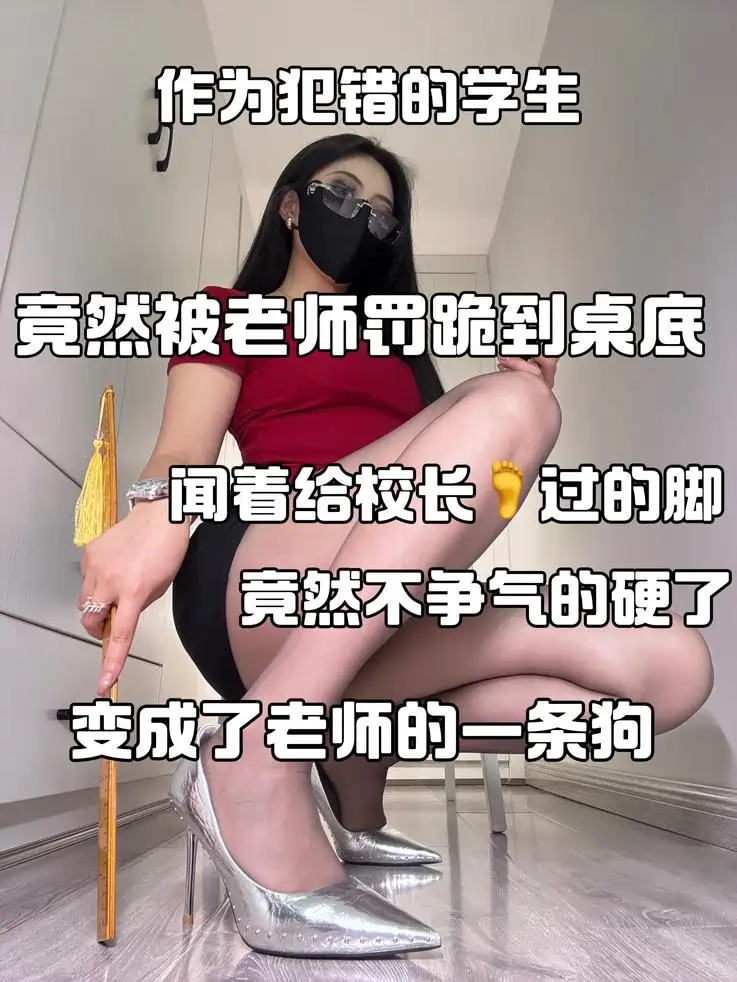 御清 – 老师桌下的狗