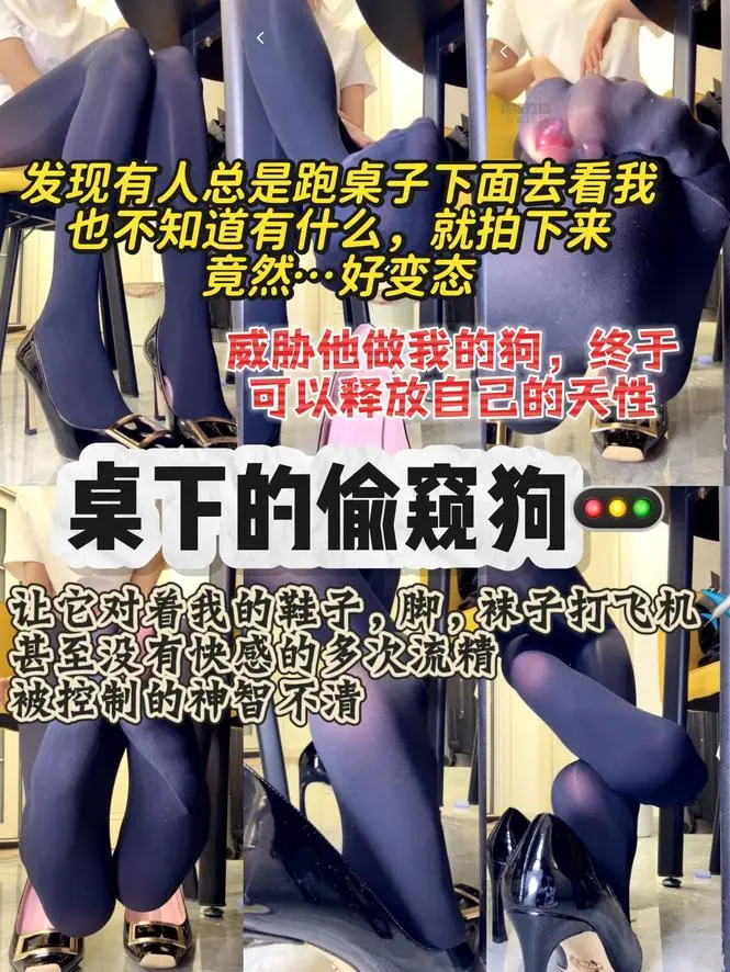 酒鸽 – 桌下的偷窥狗