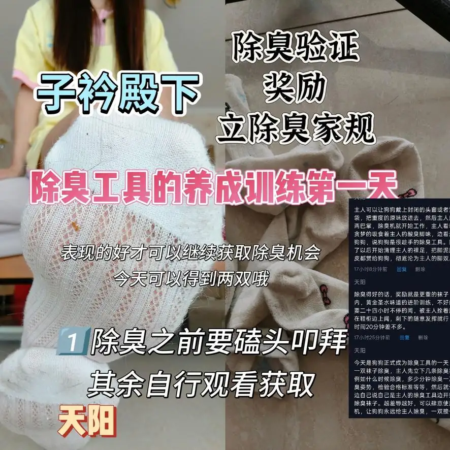 子衿 – 定制除臭工具的养成训练